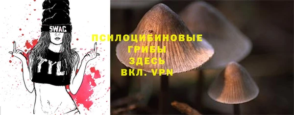 MDMA Premium VHQ Алзамай